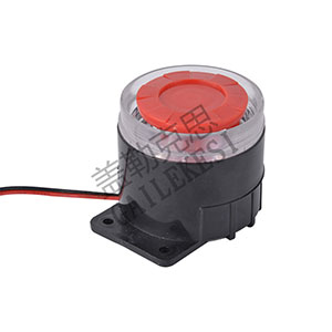 Lighted buzzer